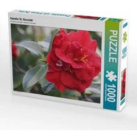 CALVENDO Puzzle Dr. Burnside 1000 Teile Lege-Größe 64x48cm Foto-Puzzle für glückliche Stunden CALVENDO Puzzle Dr. Burnside 1000 Teile Lege-Größe 64x48cm Foto-Puzzle für glückliche Stunden von Calvendo