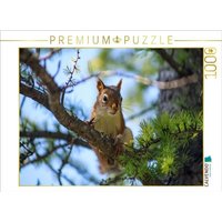CALVENDO Puzzle Eichhörnchen zwischen den Lärchenzweigen 1000 Teile Lege-Größe 64x48cm Foto-Puzzle für glückliche Stunden CALVENDO Puzzle Eichhörnchen zwischen den Lärchenzweigen 1000 Teile Lege-Größe 64x48cm Foto-Puzzle für glückliche Stunden von Calvendo