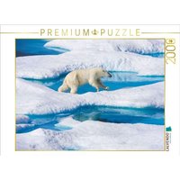 CALVENDO Puzzle Junger Eisbär springt von Eisscholle zu Eisscholle 2000 Teile Lege-Größe 90x67cm Foto-Puzzle für glückliche Stunden CALVENDO Puzzle Junger Eisbär springt von Eisscholle zu Eisscholle 2000 Teile Lege-Größe 90x67cm Foto-Puzzle für glückliche Stunden von Calvendo
