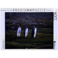 CALVENDO Puzzle Königspinguinpärchen mit Jungem | 1000 Teile Lege-Größe 64x48cm Foto-Puzzle für glückliche Stunden von Calvendo