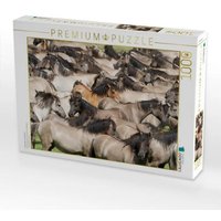 CALVENDO Puzzle Kraftvoller Herdentrieb 1000 Teile Lege-Größe 64x48cm Foto-Puzzle für glückliche Stunden CALVENDO Puzzle Kraftvoller Herdentrieb 1000 Teile Lege-Größe 64x48cm Foto-Puzzle für glückliche Stunden von Calvendo