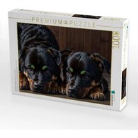 CALVENDO Puzzle Majestätische Rottweiler - Voller Kraft und Loyalität 1000 Teile Lege-Größe 64x48cm Foto-Puzzle für glückliche Stunden CALVENDO Puzzle Majestätische Rottweiler - Voller Kraft und Loyalität 1000 Teile Lege-Größe 64x48cm Foto-Puzzle für glückliche Stunden von Calvendo
