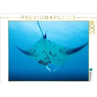 CALVENDO Puzzle Mantarochen im Anflug 1000 Teile Lege-Größe 64x48cm Foto-Puzzle für glückliche Stunden CALVENDO Puzzle Mantarochen im Anflug 1000 Teile Lege-Größe 64x48cm Foto-Puzzle für glückliche Stunden von Calvendo