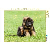 CALVENDO Puzzle Schäferhund - Welpe Rüde 1000 Teile Lege-Größe 64x48cm Foto-Puzzle für glückliche Stunden CALVENDO Puzzle Schäferhund - Welpe Rüde 1000 Teile Lege-Größe 64x48cm Foto-Puzzle für glückliche Stunden von Calvendo