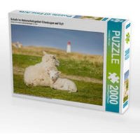 CALVENDO Puzzle Schafe im Naturschutzgebiet Ellenbogen auf Sylt 2000 Teile Lege-Größe 90 x 67 cm Foto-Puzzle Bild von Christian Müringer CALVENDO Puzzle Schafe im Naturschutzgebiet Ellenbogen auf Sylt 2000 Teile Lege-Größe 90 x 67 cm Foto-Puzzle Bild von Christian Müringer von CALVENDO V