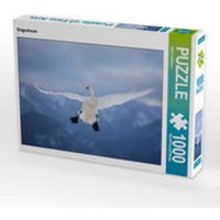 CALVENDO Puzzle Singschwan 1000 Teile Lege-Größe 64 x 48 cm Foto-Puzzle Bild von Marion Vollborn CALVENDO Puzzle Singschwan 1000 Teile Lege-Größe 64 x 48 cm Foto-Puzzle Bild von Marion Vollborn von CALVENDO V