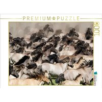 CALVENDO Puzzle Stutenherde beim Wildpferdefang 1000 Teile Lege-Größe 64x48cm Foto-Puzzle für glückliche Stunden CALVENDO Puzzle Stutenherde beim Wildpferdefang 1000 Teile Lege-Größe 64x48cm Foto-Puzzle für glückliche Stunden von Calvendo