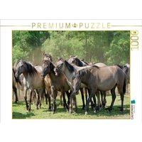 CALVENDO Puzzle Stutenherde im Merfelder Bruch 1000 Teile Lege-Größe 64x48cm Foto-Puzzle für glückliche Stunden CALVENDO Puzzle Stutenherde im Merfelder Bruch 1000 Teile Lege-Größe 64x48cm Foto-Puzzle für glückliche Stunden von Calvendo