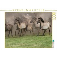 CALVENDO Puzzle Wildpferde beim Einlauf in die Arena 1000 Teile Lege-Größe 64x48cm Foto-Puzzle für glückliche Stunden CALVENDO Puzzle Wildpferde beim Einlauf in die Arena 1000 Teile Lege-Größe 64x48cm Foto-Puzzle für glückliche Stunden von Calvendo