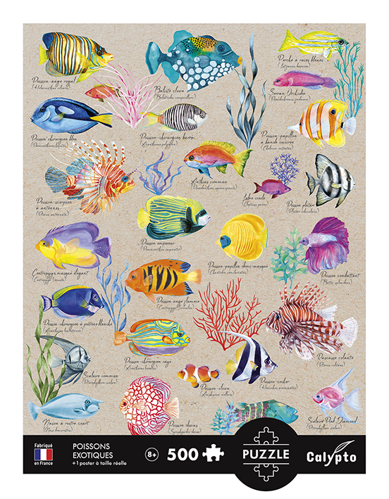 Calypto Exotischer Fisch 500 Teile Puzzle Calypto-7314 Calypto Exotischer Fisch 500 Teile Puzzle Calypto-7314 von Calypto