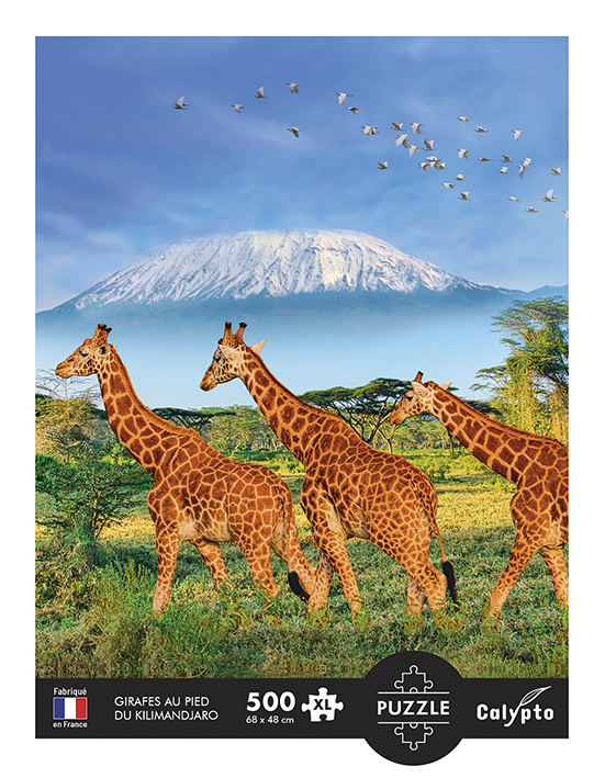 Calypto XXL Teile - Giraffen 500 Teile Puzzle Calypto-7351 Calypto XXL Teile - Giraffen 500 Teile Puzzle Calypto-7351 von Calypto