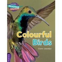 Cambridge Reading Adventures Colourful Birds Purple Band von Cambridge Academic