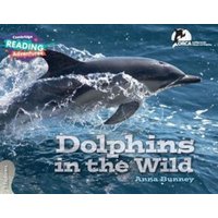 Cambridge Reading Adventures Dolphins in the Wild 3 Explorers von Cambridge University Press