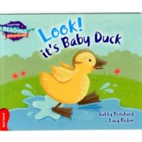 Cambridge Reading Adventures Look! It's Baby Duck Red Band von Cambridge Academic