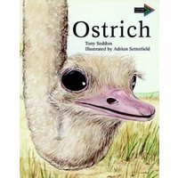 Ostrich South African Edition von Cambridge-Hitachi