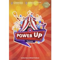 Power Up Level 3 Flashcards (Pack of 175) von Cambridge Academic