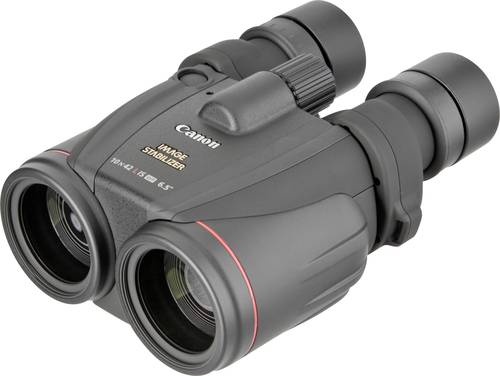 Canon Fernglas 10 x 42mm Porro Schwarz 0155B010 von Canon