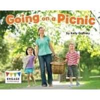 Going on a Picnic von Capstone Global Library Ltd