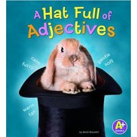 A Hat Full of Adjectives von Wiley