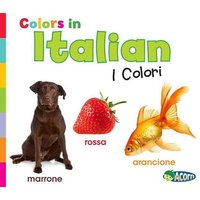 Colors in Italian von Capstone