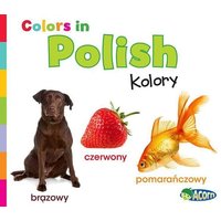 Colors in Polish von Capstone