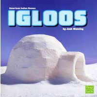 Igloos von Wiley