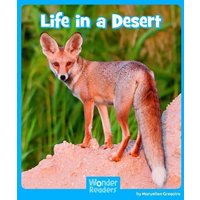 Life in a Desert von Wiley