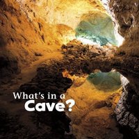 What's in a Cave? von Wiley