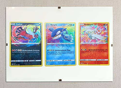 Cardicuno Yveltal Kyogre Reshiram Pokémon Set DE inkl. GRATIS Bilderrahmen von Cardicuno