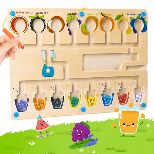 Carehabi Montessori Spielzeug, Magnetisches Labyrinth Spiel ab 3 Jahren, Holzspielzeug Kinder Magnetisches Spielzeug, Früchte & Farben Puzzle Lernspielzeug für 3 4 5 6+ Jahre Jungen Mädchen Geschenk von Carehabi