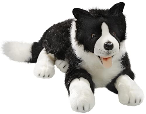 Carl Dick Border Collie liegend, Hund, Plüschtier, Kuscheltier ca. 60cm 2695 von Carl Dick