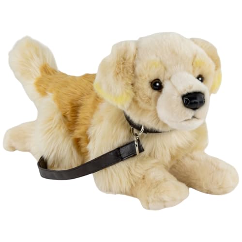 Carl Dick Golden Retriever mit Leine, Hund, Plüschtier, Kuscheltier, ca. 30cm 1269004 von Carl Dick