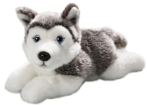 Carl Dick Husky liegend, Hund, Plüschtier, Kuscheltier ca. 20cm 2154008 von Carl Dick