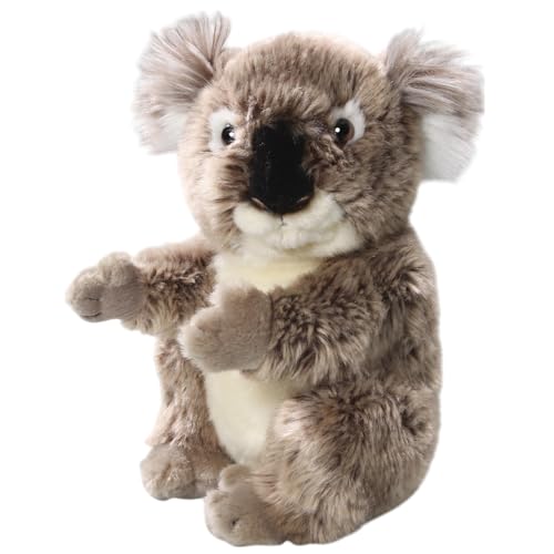 Carl Dick Koala Bär ca. 22cm, Plüschtier, Stofftier, Kuscheltier 3681 von Carl Dick