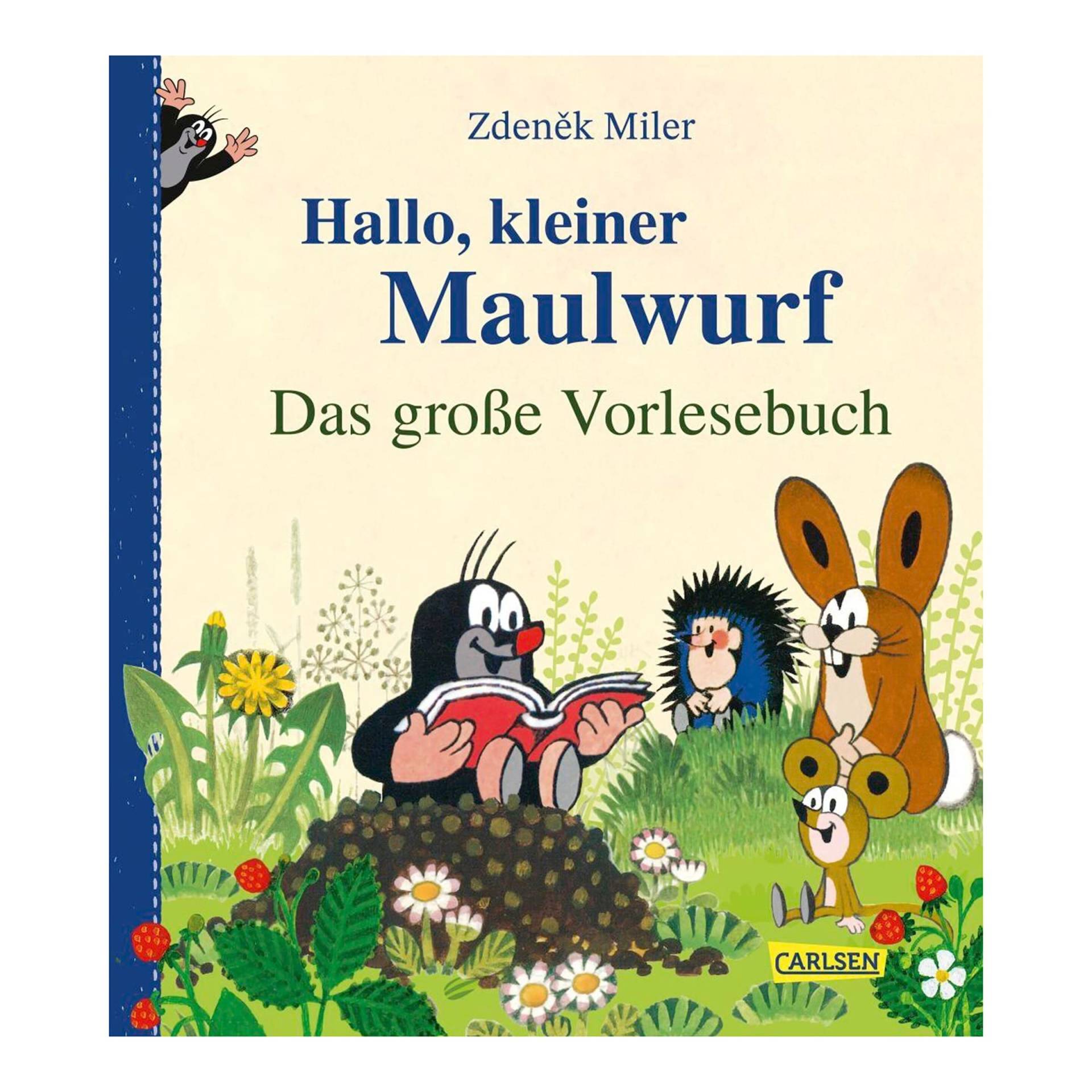 Carlsen Verlag Vorlesebuch Hallo, kleiner Maulwurf Carlsen Verlag Vorlesebuch Hallo, kleiner Maulwurf von Carlsen Verlag