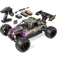 CARSON 500409086 1:8 Virus Race 4.3 4S brushless 100% RTR lila von Carson