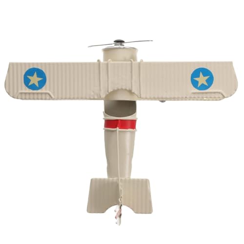 Casstad Metallfigur Flugzeug, Flugzeugspielzeug für Erwachsene, Flugzeugaufsatz für Den Außenbereich von Casstad