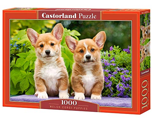 Castorland 104659 Welsh Corgi Welpen, 1000 Stück Puzzle Castorland 104659 Welsh Corgi Welpen, 1000 Stück Puzzle von Castorland