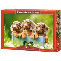 Cute Dachshunds Puzzle 500 Teile Cute Dachshunds Puzzle 500 Teile von Castorland