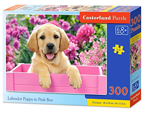 Castorland B-030071 Puzzle, bunt von Castorland