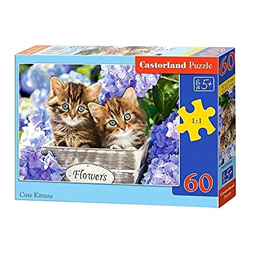 Castorland B-066087 Cute Kittens, Puzzle 60 Teile, bunt von Castorland