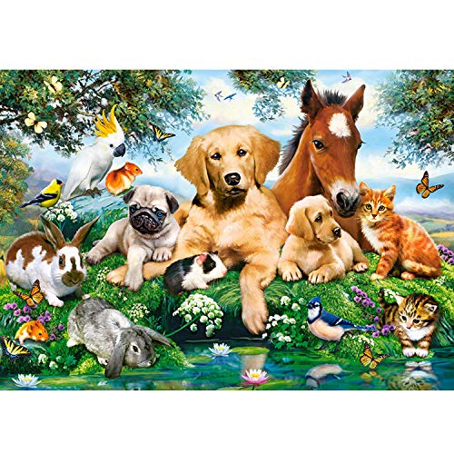 Castorland B-53230 B-53230-Summer Pals Puzzle 500 Teile, Bunt, 35 x 25 x 5 cm von Castorland