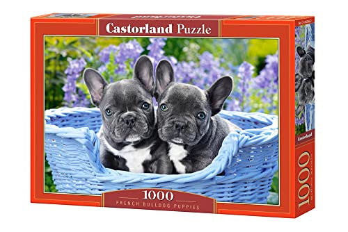 Castorland C-104246-2 French Bulldog Puppies, 1000 Teile Puzzle, Bunt von Castorland