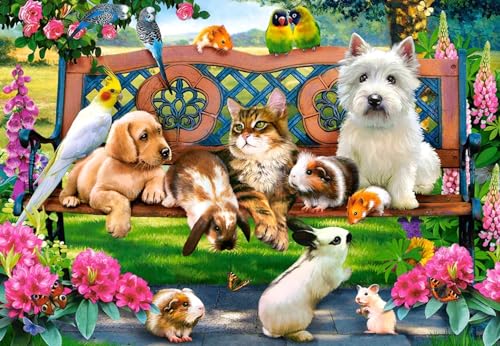 Castorland C-104406-2 Pets in The Park 1000 Teile Puzzle, Bunt von Castorland