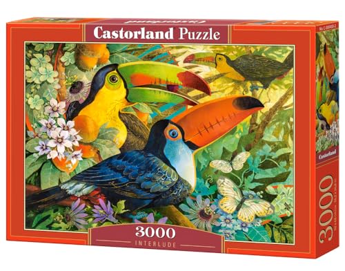 Castorland C-300433-2 - Puzzle Interlude, 3000 Teile Castorland C-300433-2 - Puzzle Interlude, 3000 Teile von Castorland