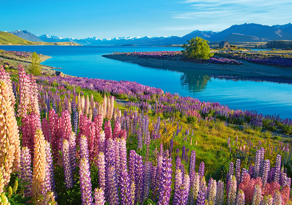 Castorland Lake Tekapo, New Zealand 500 Teile Puzzle Castorland-53896 von Castorland