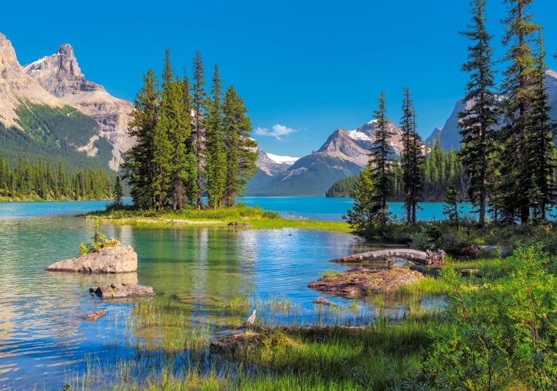 Castorland Maligne Lake, Canada 500 Teile Puzzle Castorland-53803 von Castorland