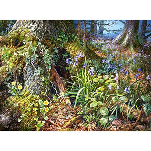 Castorland Puzzle 2000 pièces : De Rusland Woods von Castorland