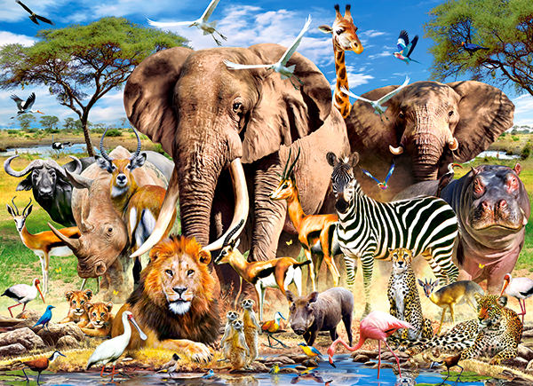 Castorland Savanna Animals 200 Teile Puzzle Castorland-222155 von Castorland