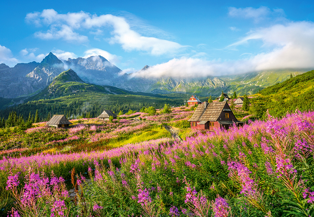 Castorland Tatras, Polen 1000 Teile Puzzle Castorland-104512 von Castorland